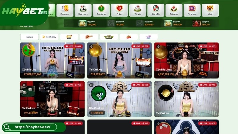 Tổng hợp những tựa game Live Casino HayBet Hot nhất Tổng hợp những tựa game Live Casino HayBet Hot nhất