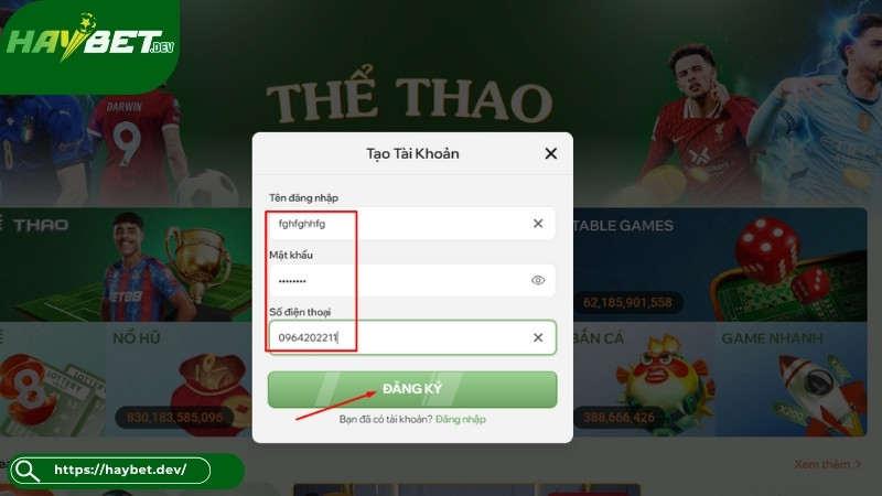 huong-dan-cach-dang-ky-haybet-chi-tiet Hướng dẫn đăng ký HayBet chi tiết