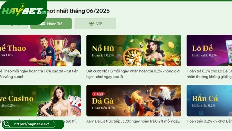 Cập nhật những gói khuyến mãi Haybet hấp dẫn nhất năm 2025 Cập nhật những gói khuyến mãi Haybet hấp dẫn nhất năm 2025