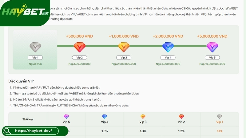 Những ưu đãi VIP Haybet độc quyền Những ưu đãi VIP Haybet độc quyền