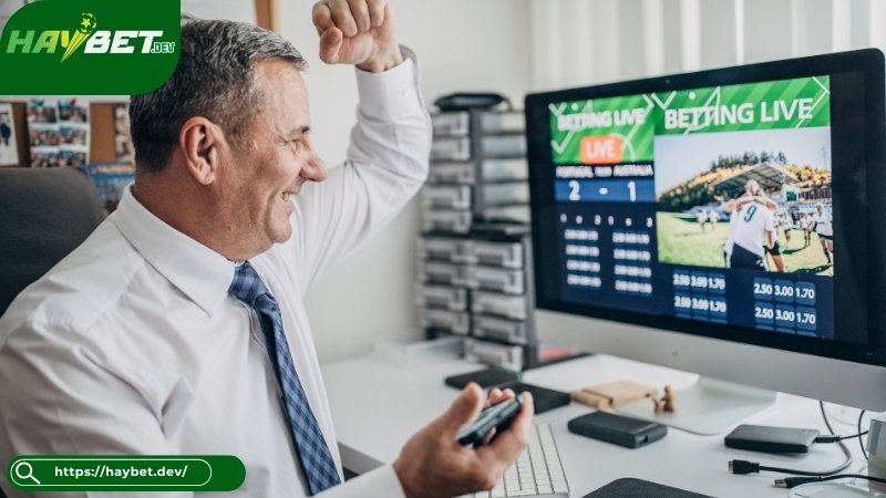 Trách nhiệm của bản thân bet thủ khi cá cược Haybet Trách nhiệm của bản thân bet thủ khi cá cược Haybet