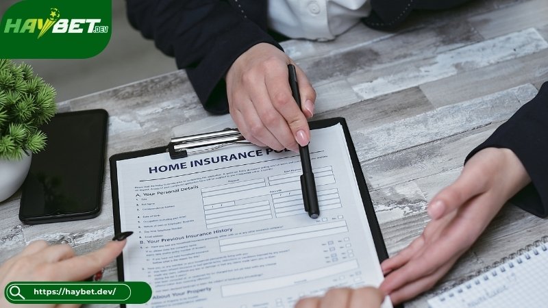 Vì sao người chơi nên đọc kỹ điều khoản và điều kiện Haybet? Vì sao người chơi nên đọc kỹ điều khoản và điều kiện Haybet?