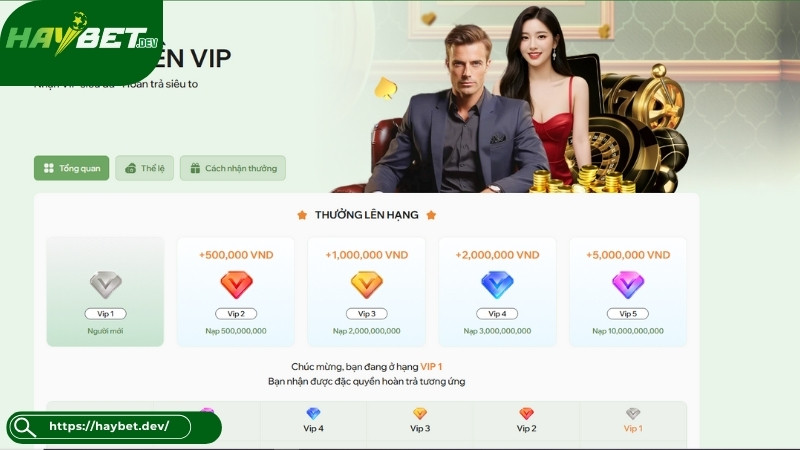 Chương trình ưu đãi VIP Haybet là gì? Chương trình ưu đãi VIP Haybet là gì?